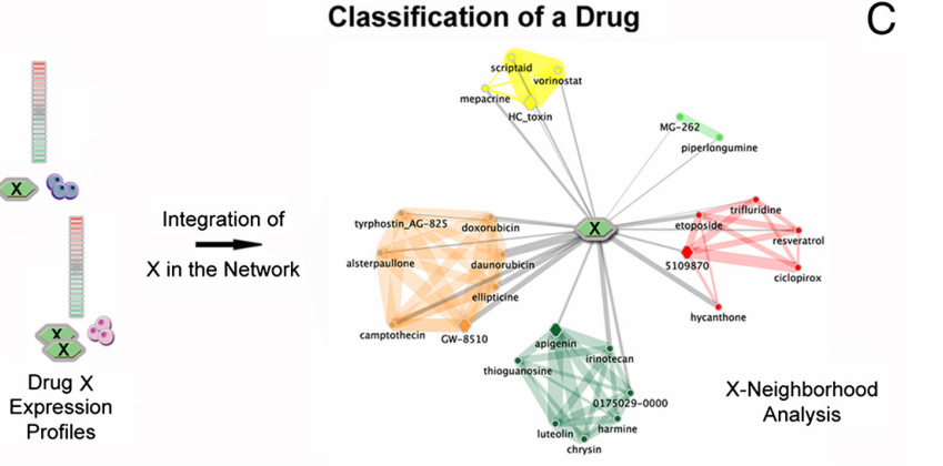 image-20220618152841157