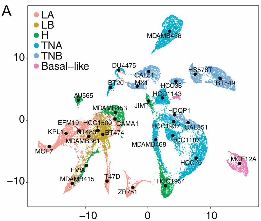 image-20220706135638934