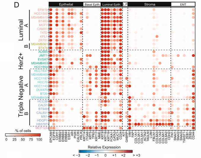 image-20220706140759846