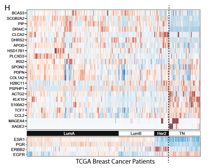 image-20220706141806272