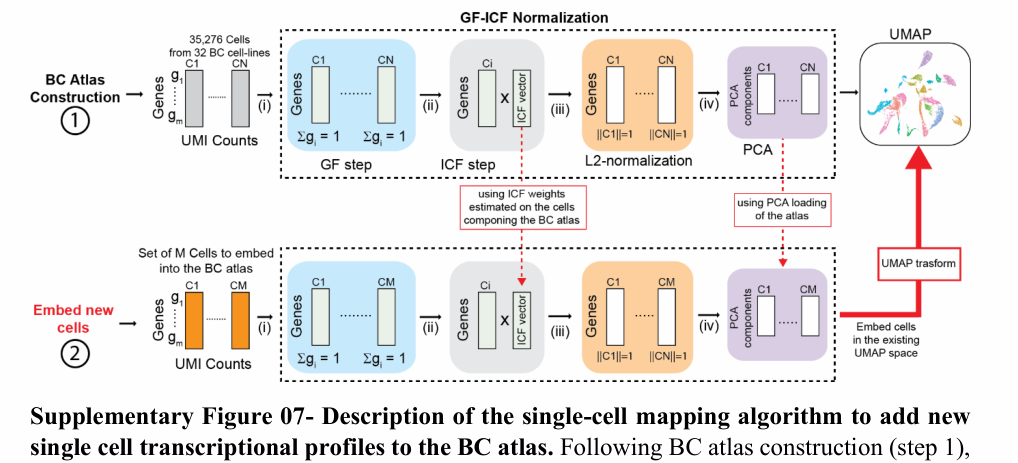image-20220706142650328