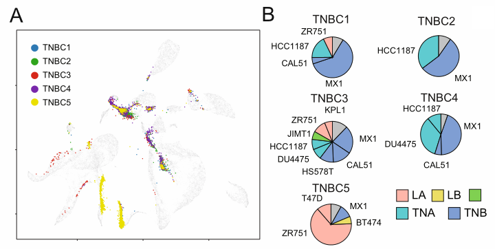 image-20220706143250111