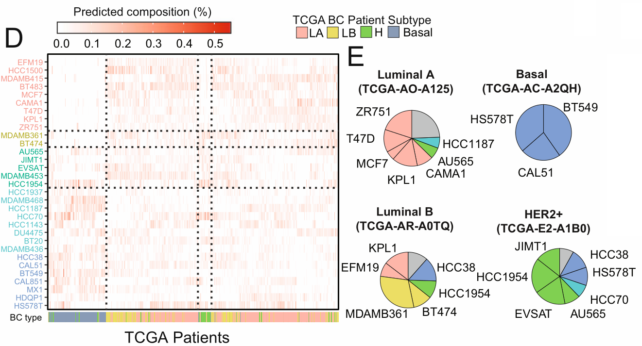image-20220706144311830