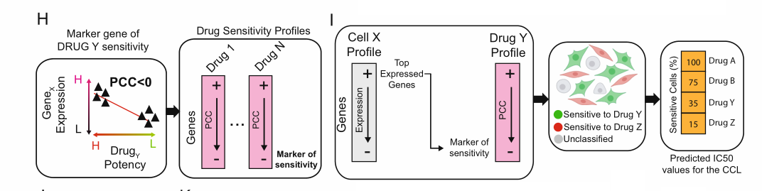 image-20220706145623621