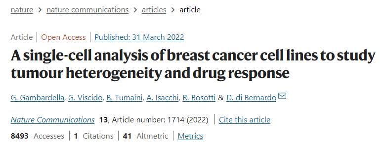 image-20220706151411925