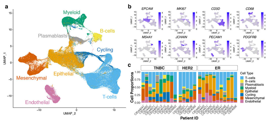 image-20220806085815110