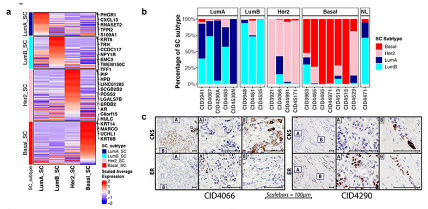 image-20220806205552454