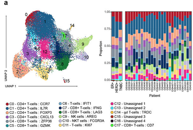 image-20220806211852016