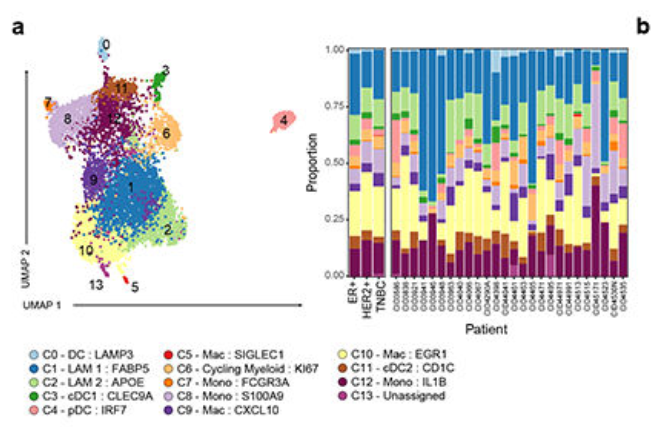 image-20220806212300545