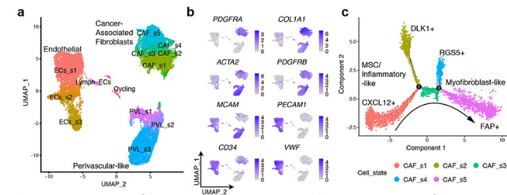 image-20220806212838288