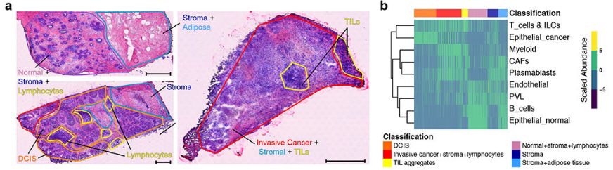 image-20220806213401888