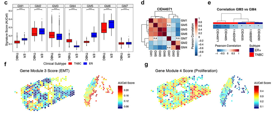 image-20220806213841176