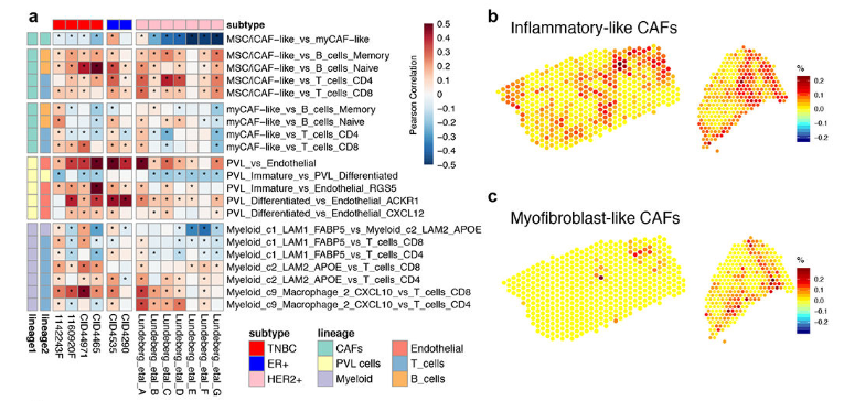 image-20220806214705866