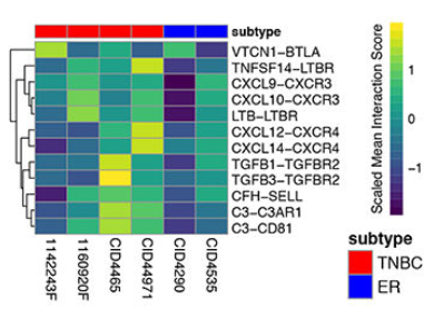 image-20220806220120629