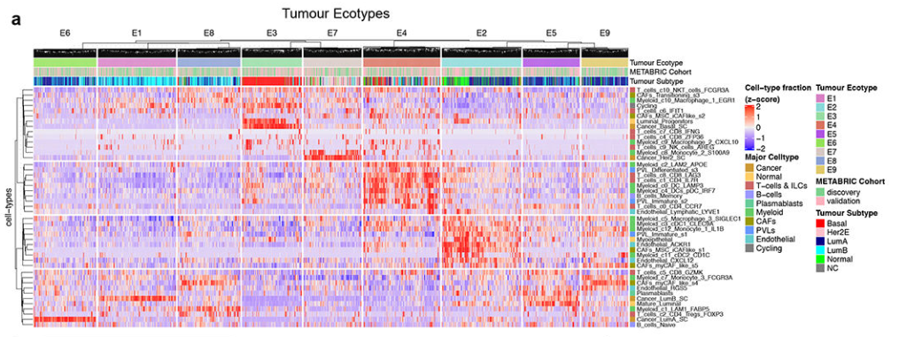 image-20220806222446497