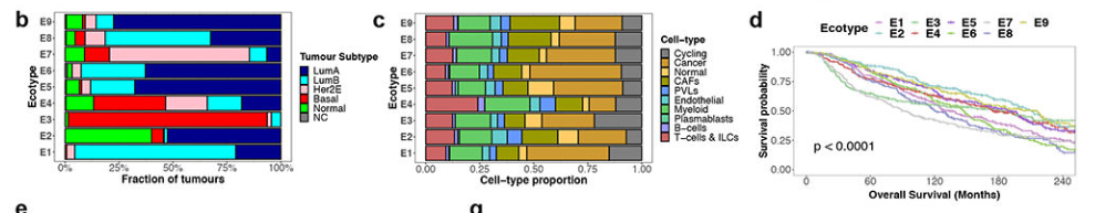 image-20220806222959582