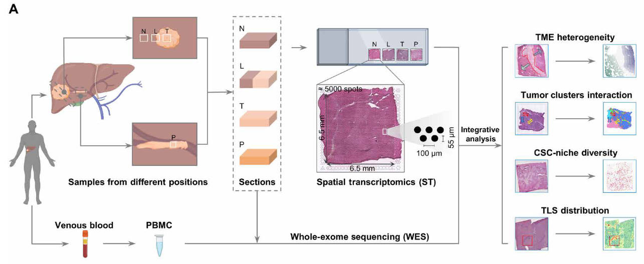 image-20221002155819193