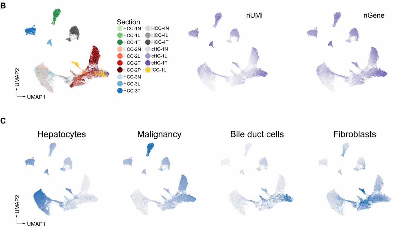 image-20221002161219957