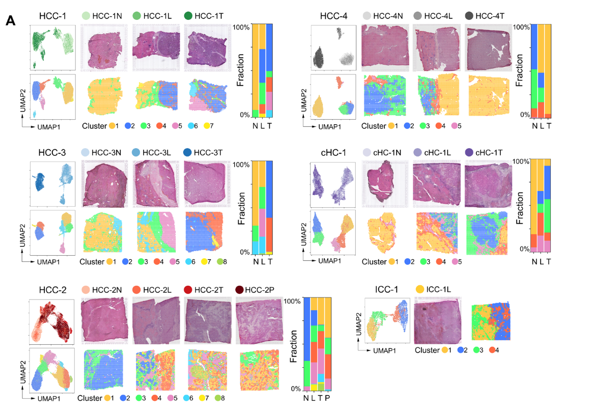 image-20221002162101219