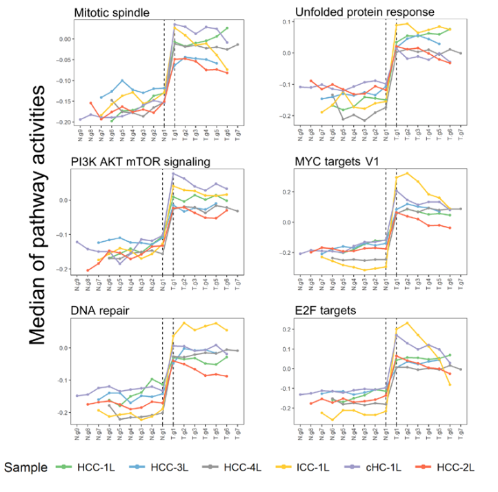 image-20221002165859367