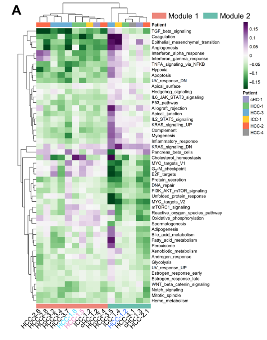 image-20221002200158377