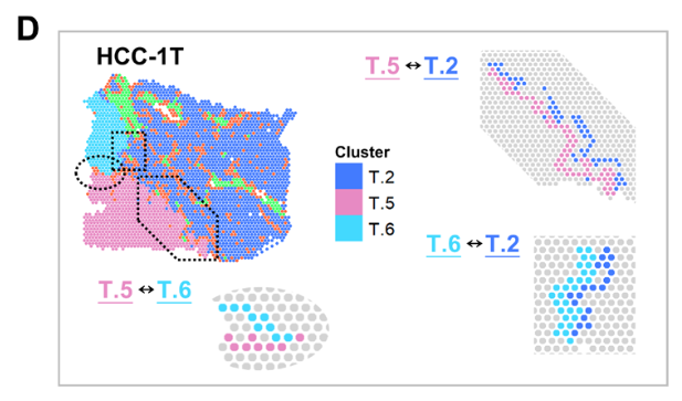 image-20221002200217890