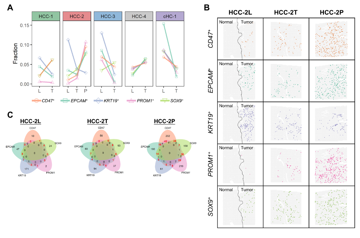 image-20221002201817468