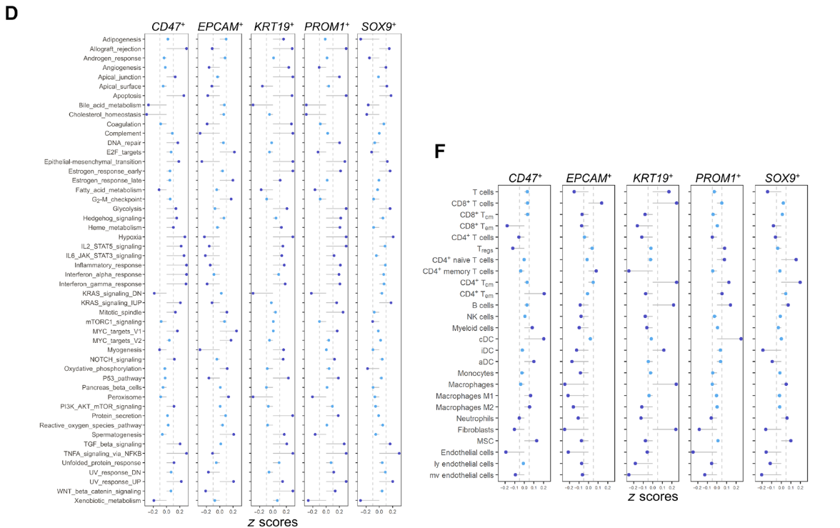 image-20221002202319247