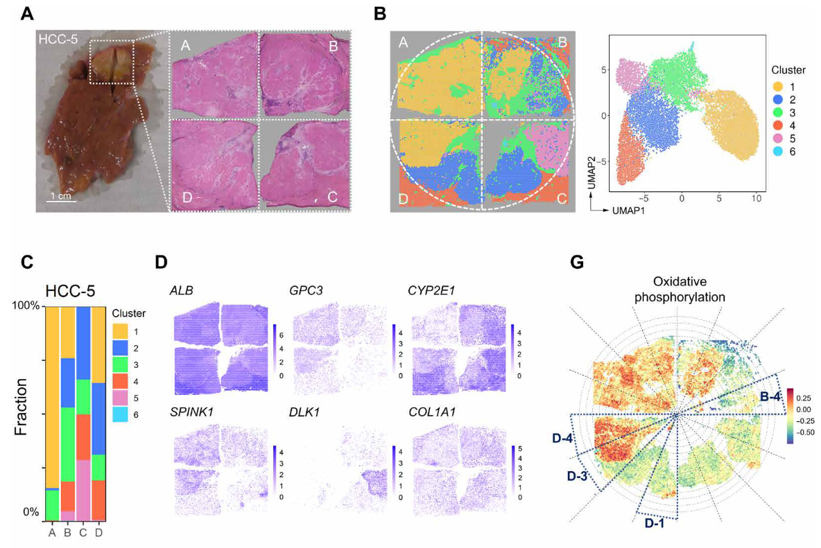 image-20221002202641314