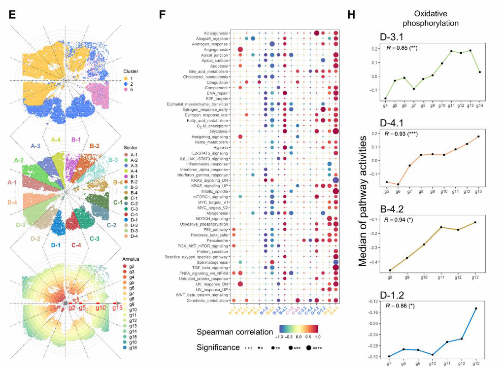 image-20221002203054671