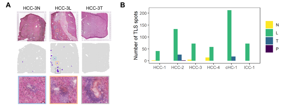 image-20221002204140148