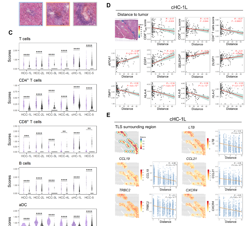 image-20221002204643937