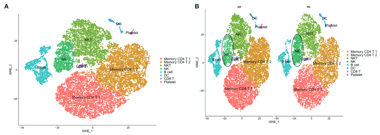image-20221030101028711