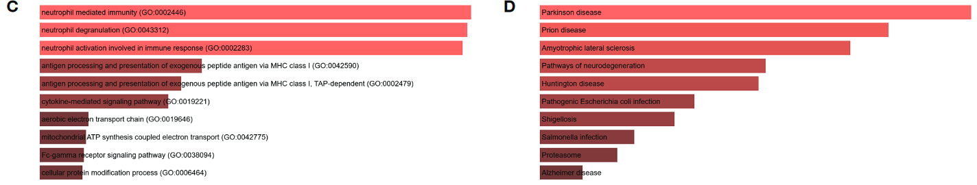 image-20221030101901731