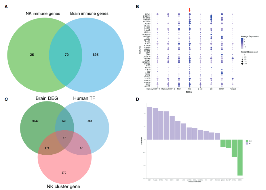 image-20221030103002913