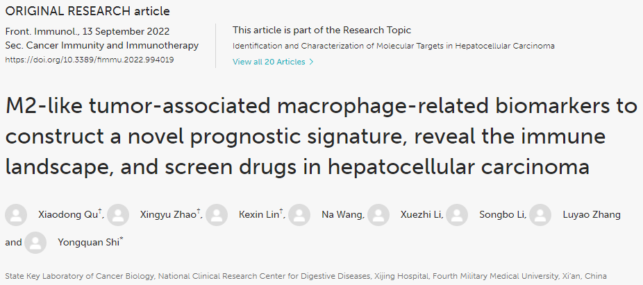 image-20221113200742170