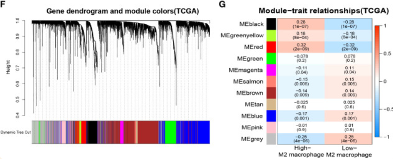 image-20221113211339826
