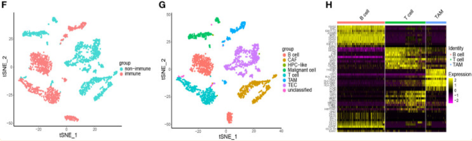 image-20221113211722011