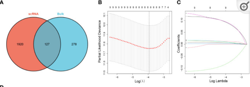 image-20221113212242722