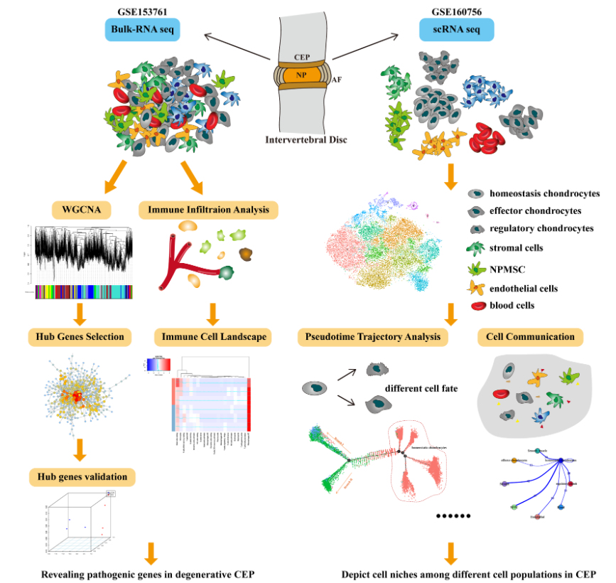 image-20221120091552419