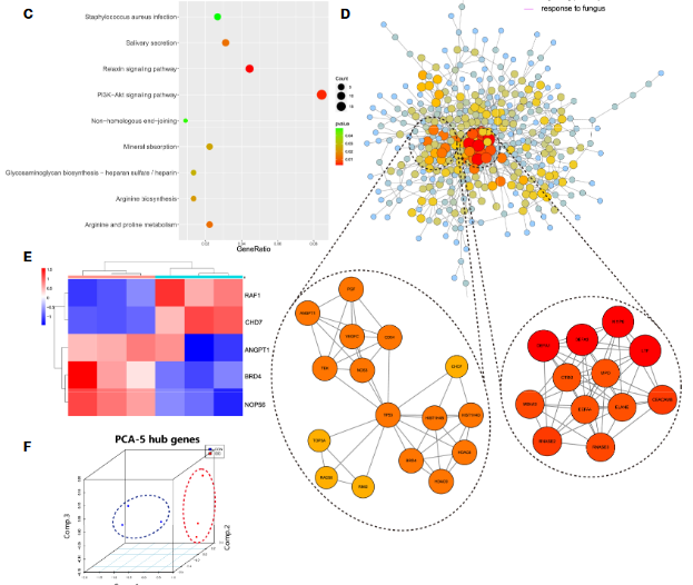 image-20221120100520169