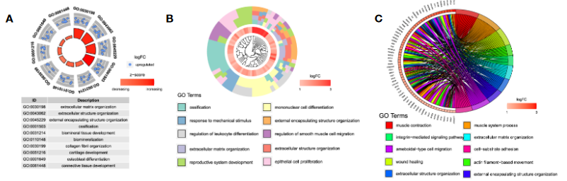 image-20221120101831270