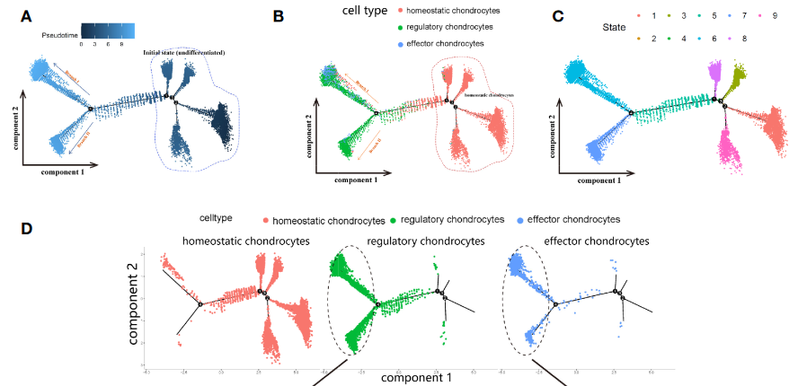 image-20221120104822168