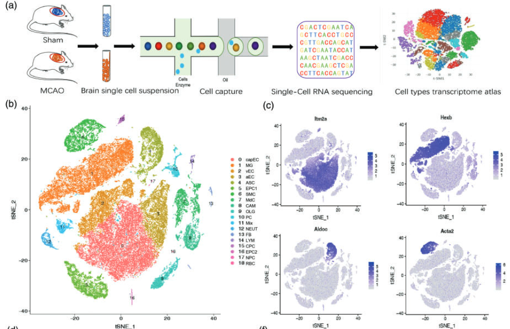 image-20221211205557341