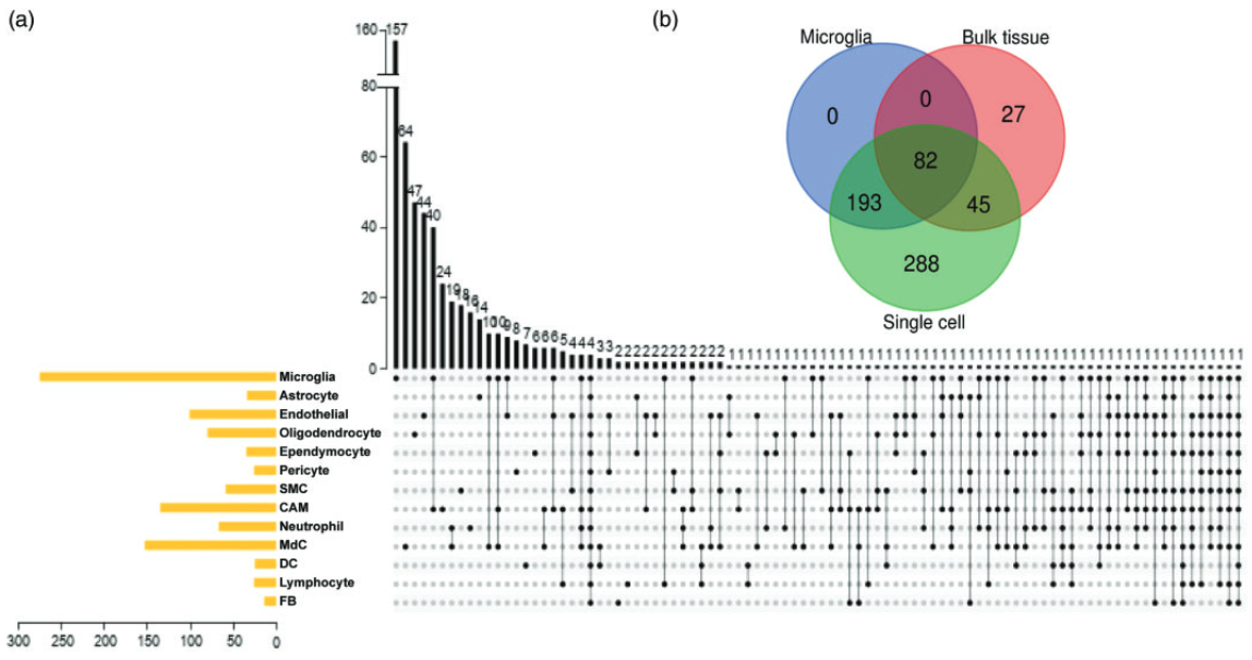 image-20221211211241093