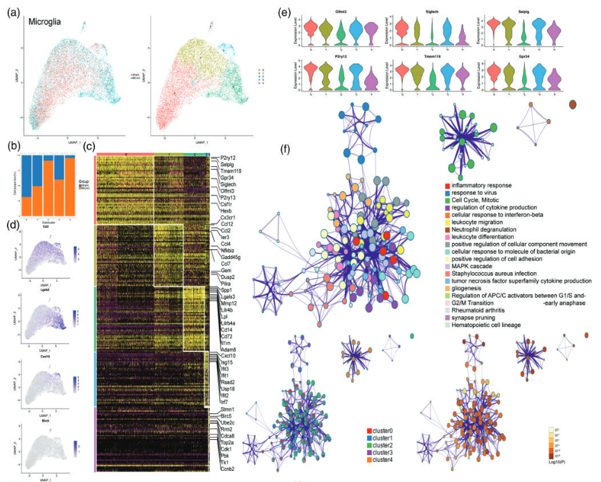 image-20221211211551549