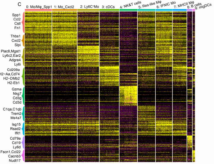 image-20221211212858815