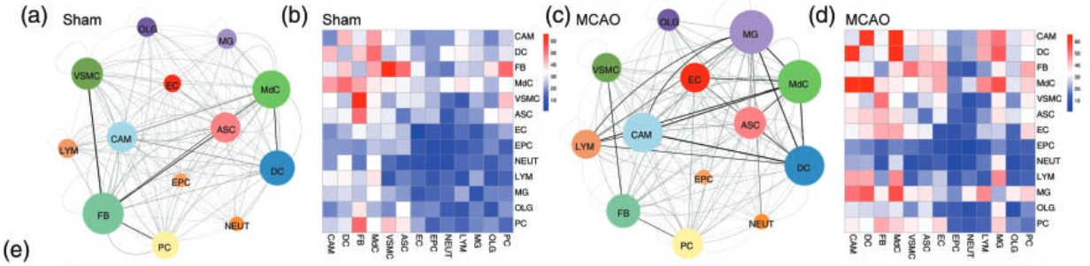 image-20221211214353229