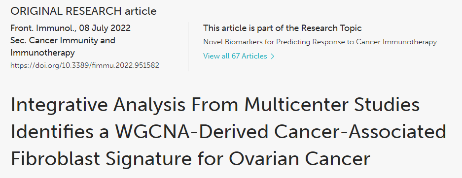 image-20221218164230888