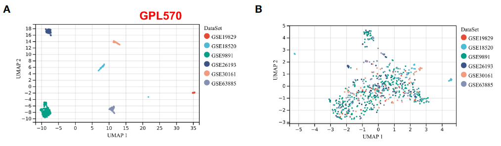 image-20221218192514358